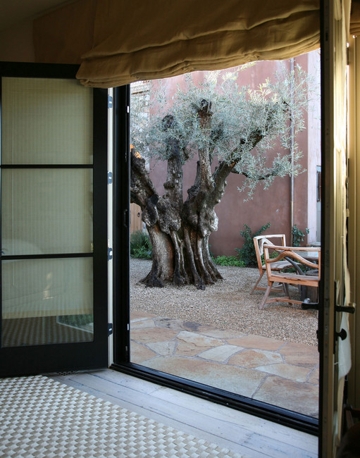 Media Name: 116-76_oak_pla_cali_30.jpg