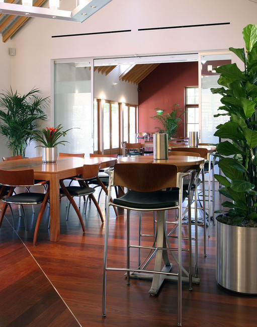 Media Name: 99-62_ipe_youn_6.jpg