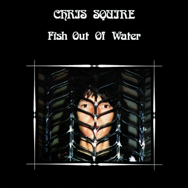 fish out of water
