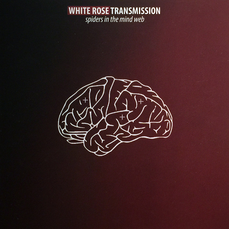 White Rose T - Spiders