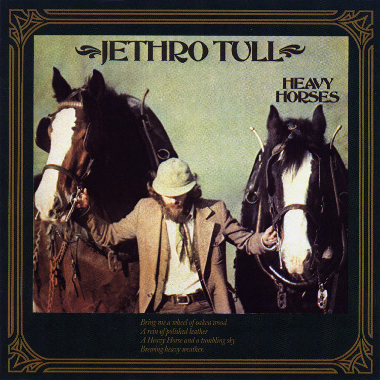 heavy horses