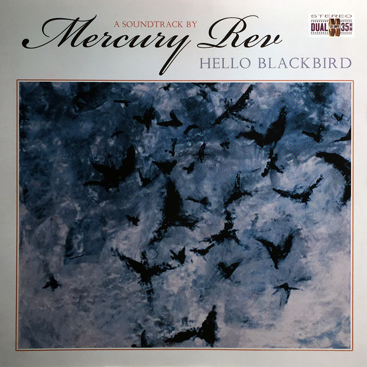 hello blackbird
