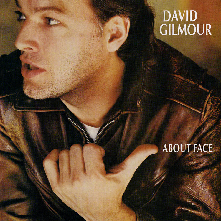 david gilmour - about face