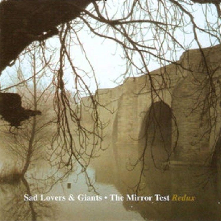 Mirror Test