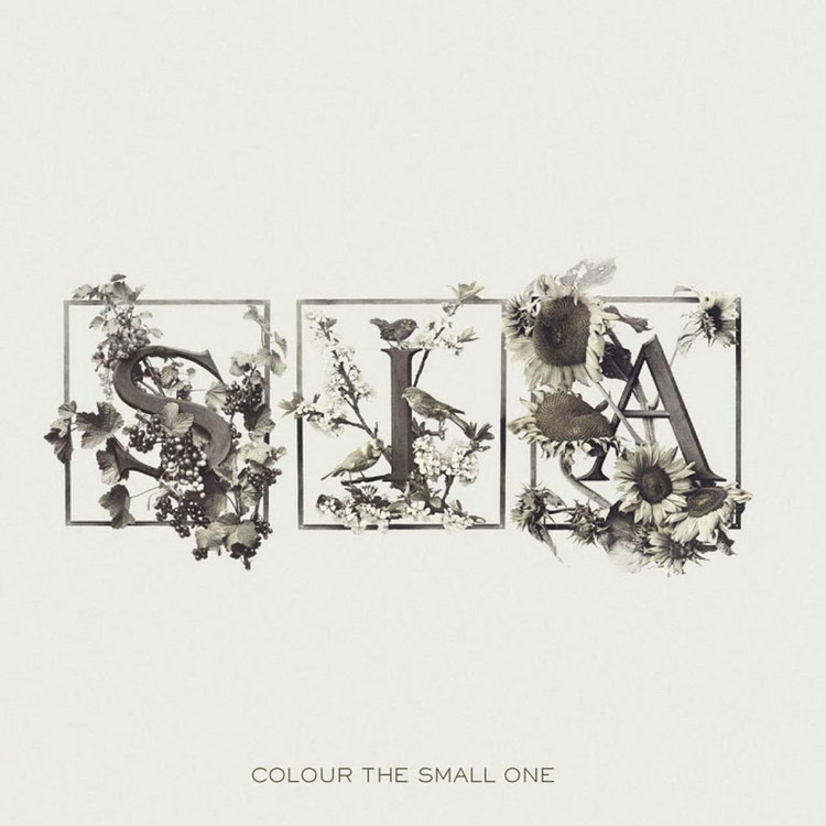 Colour the small one