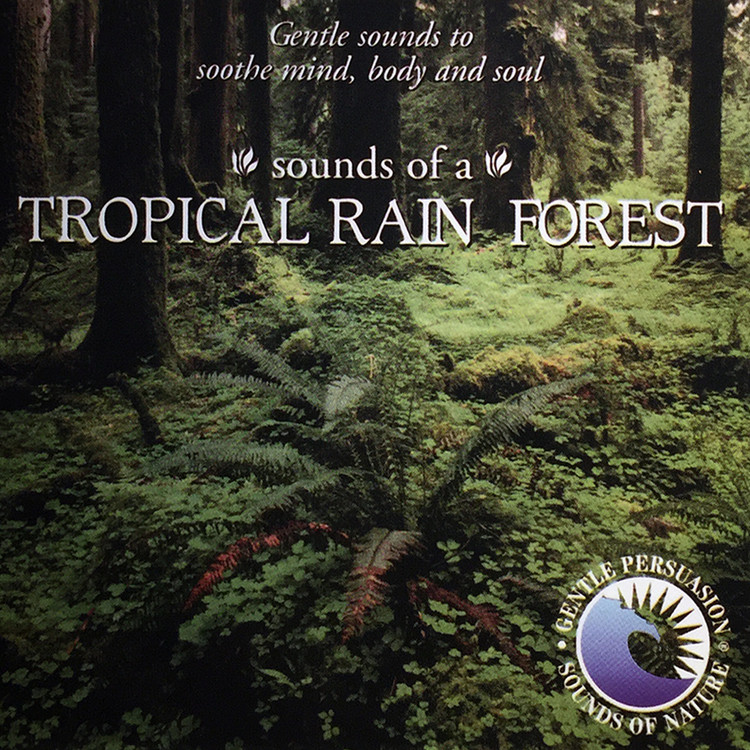 tropical rainforest