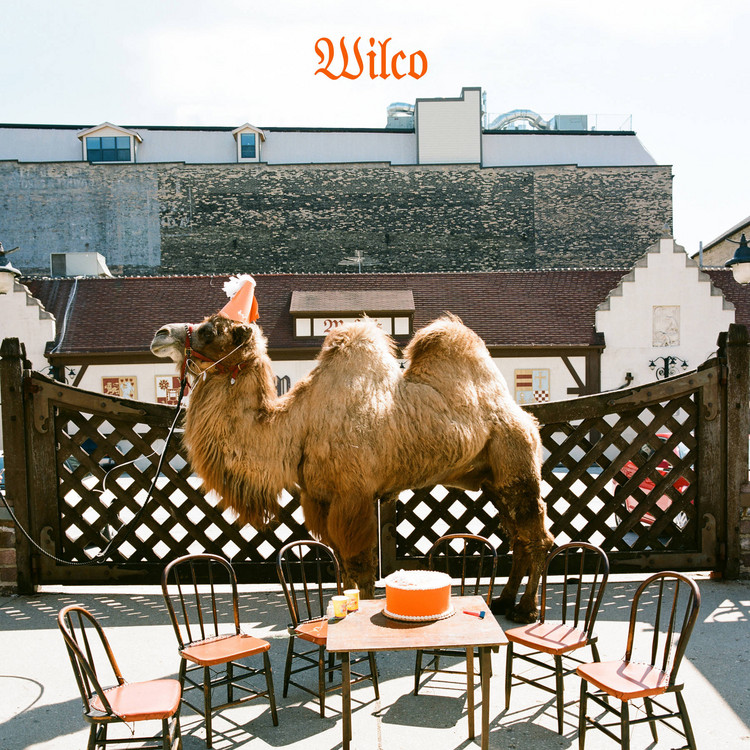 wilco the album